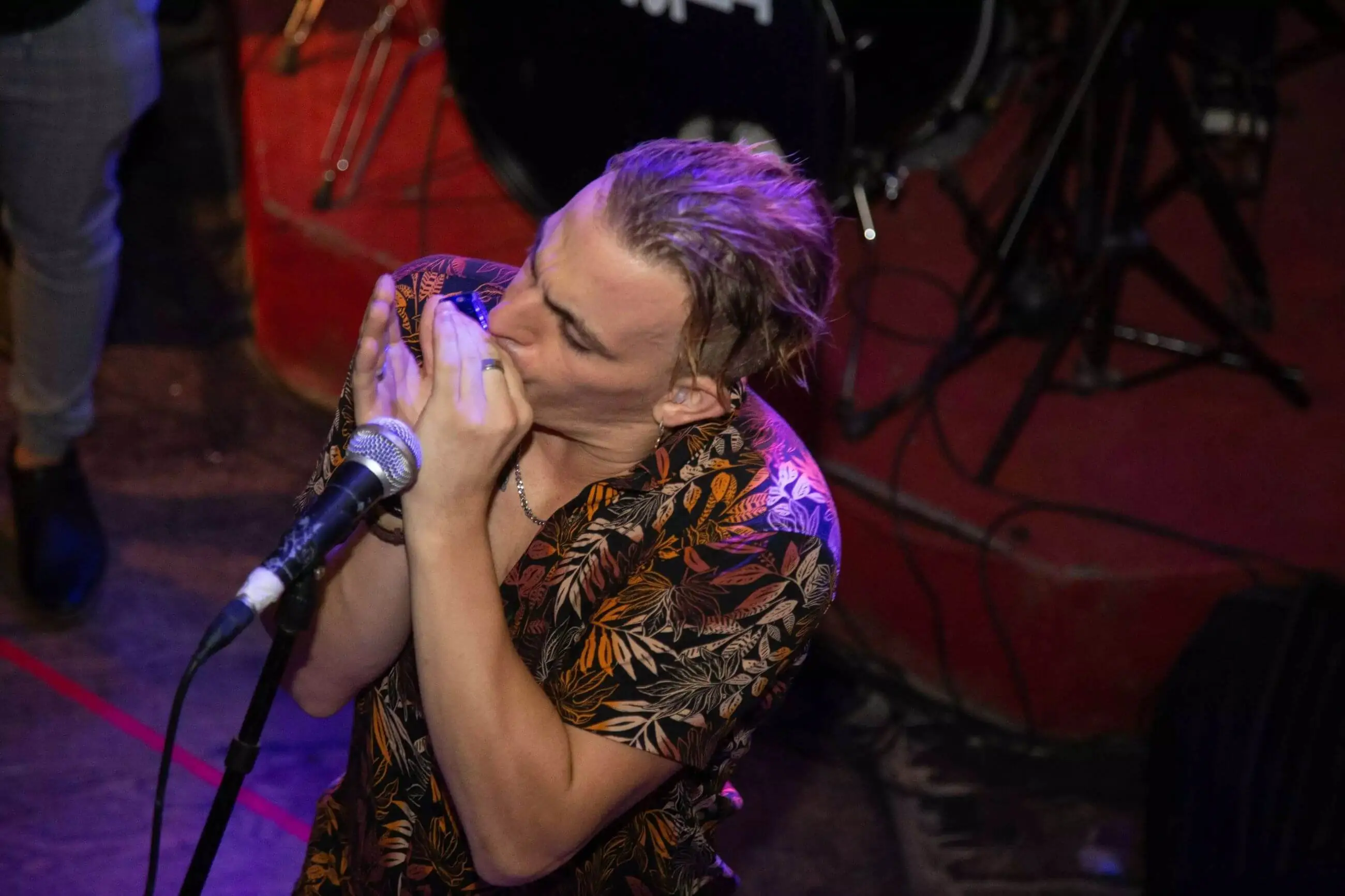 terra armonica arriba